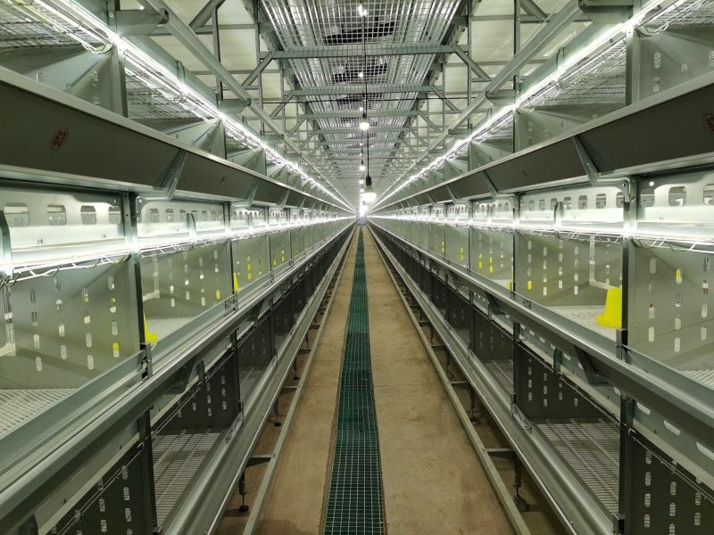 養殖設備雛雞舍溫度濕度控制