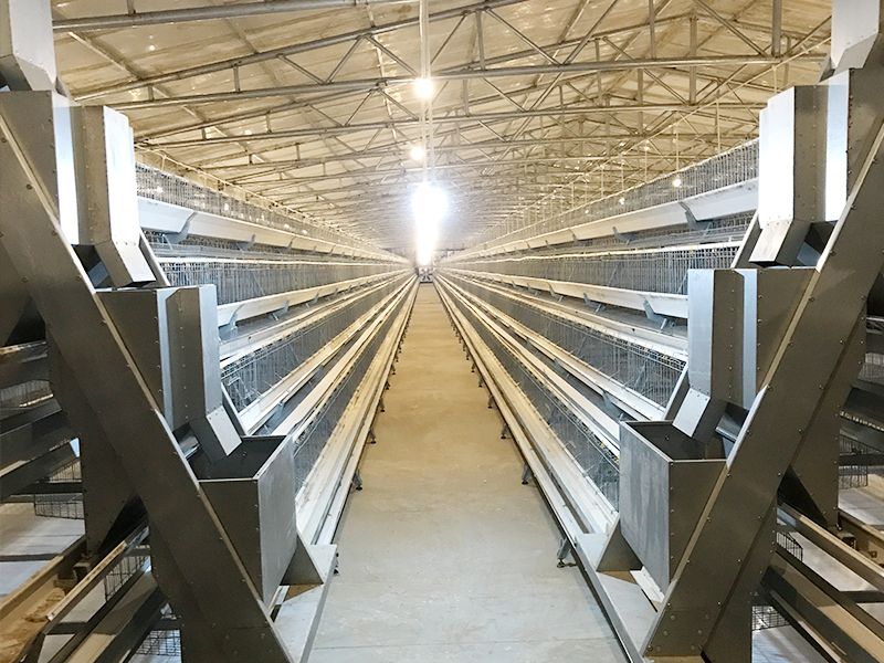 階梯式自動化養殖設備